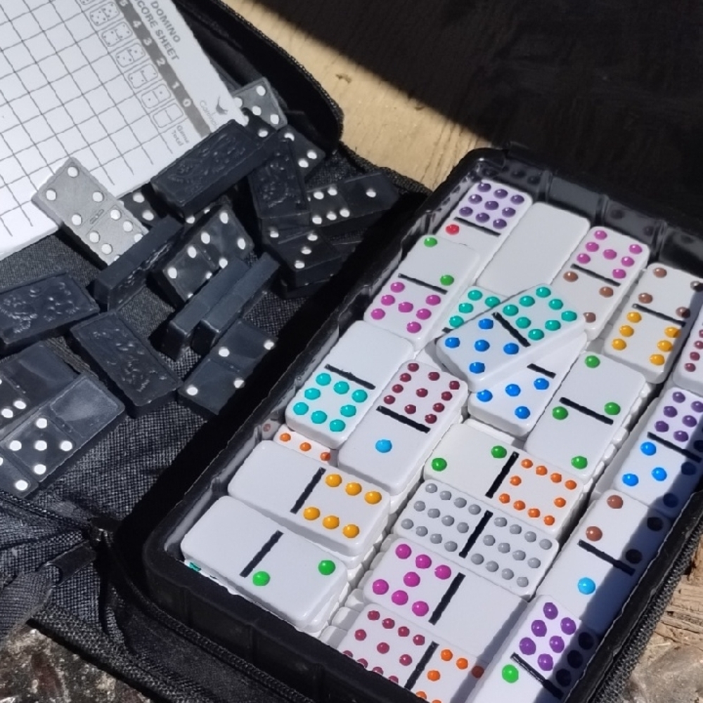 Domino Sets(2) in Zippered Case